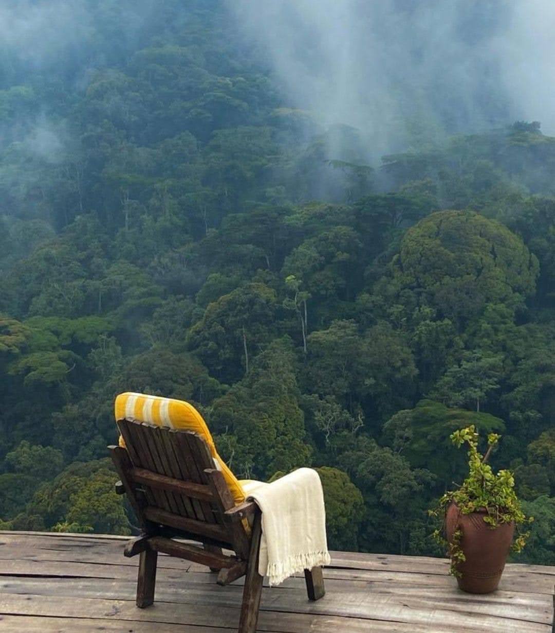Rwenzori Mountains